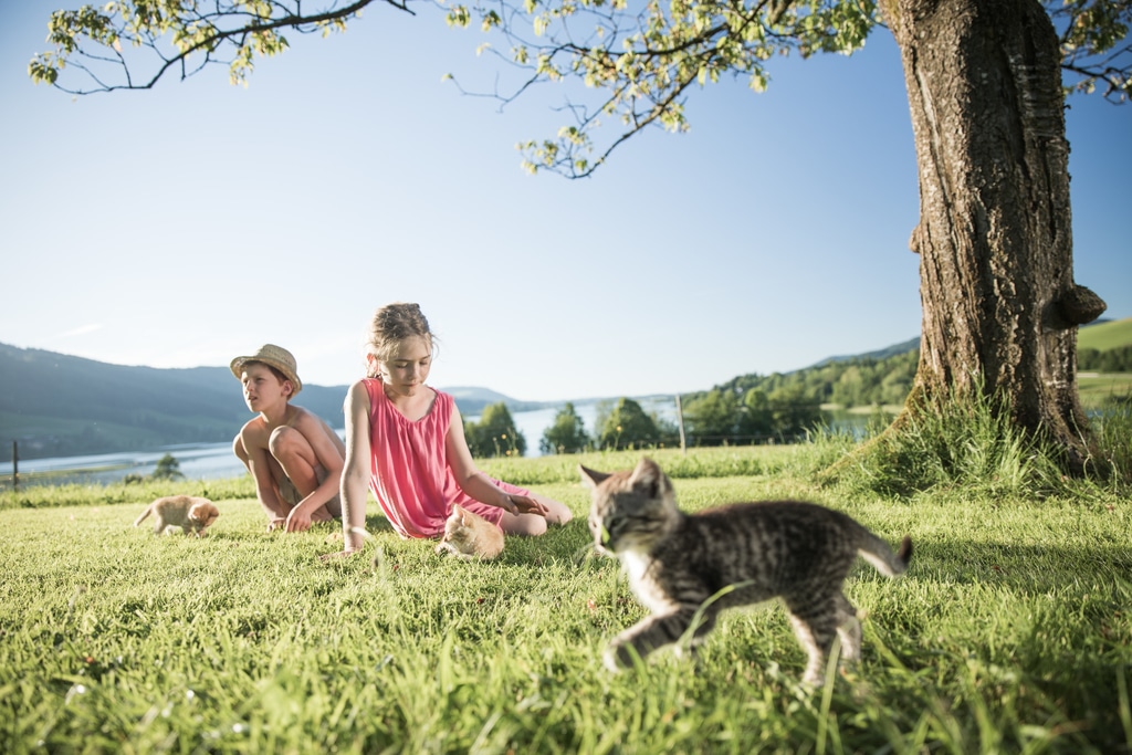 Familienurlaub in Österreich Hotels