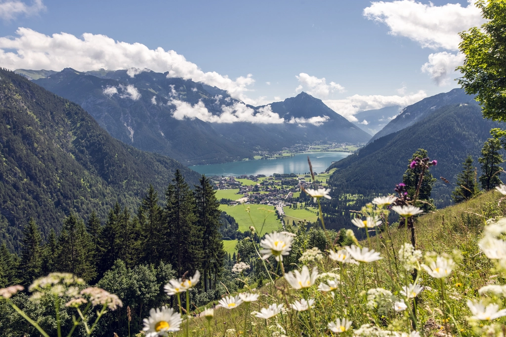 Blick vom Berg auf den Achensee und Pertisau im Sommer